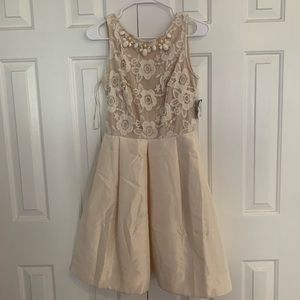 Taylor Dresses -beaded lace dress
